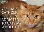 Addicted To Cats.jpg Addicted To Cats.jpg