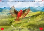 red bird 4.jpg