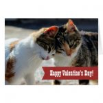 valentines_day_two_cute_cats_in_love_photo_card-r02efa878f7d142b4be3237bc8d4a596d_xvuak_8byvr_32.jpg
