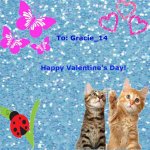 Gracie14.jpg