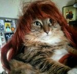 hair.jpg