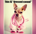 casual dress.jpg