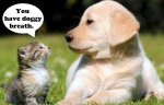 dog breath.jpg