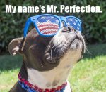 perfect 10.jpeg