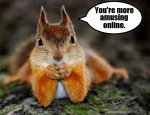 squirrel judgment.jpg