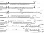 29a-millennium-comparison-chart (2).jpg