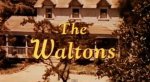 the-waltons.jpg