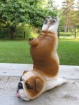 Bulldog-Figurine-Doing-Exercises-Yoga-Puppy-Dog-Figurine-_57.jpg