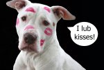 kisses.jpeg