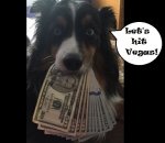 vegas.jpg