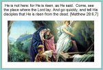 TELL DISCIPLES.jpg