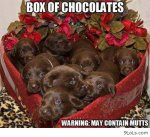 funny-pictures-daily-quotes-derp-and-derpina-funny-animal-funny-cartoons-Favim.com-668250.jpg