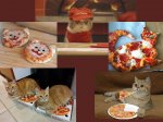 pizza chef.jpg pizza chef.jpg