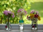 vases-in-bulk-unique-small-flower-vases-cheap-vases-design-picture-of-vases-in-bulk.jpg