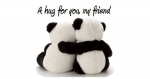 a-hug-for-you-my-friend.png