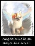 kitty_angel.JPG