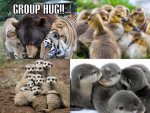 group hug.jpg