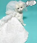 kitty wedding.jpg