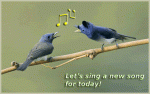 singing-birds_sing-a-new-song.gif