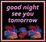 good-night.-see-you-tomorrow_544.gif