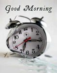 funny_pictures_goodmorning.jpg