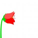 Bee5.jpg