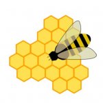 Bee2.jpg