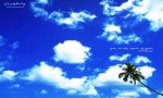 coconut-palm-30225,1280x768,30225.jpg