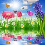 flower4.jpg