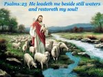 lamb1.jpg