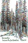 1 john sequoia.jpg