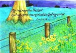 luke 1 fence.jpg
