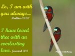 matthew28verse20.jpg