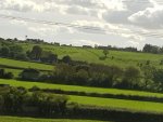 togtur, England.jpg