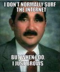 i-just-brows-600x729.jpg