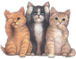 animal-graphics-cats-473954.gif