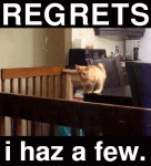regrets-i-haz-a-few-error-404-funny-cat-meme.gif