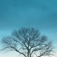 SoteriaWorship