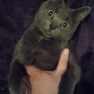 Erde
