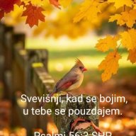 Shelemiah