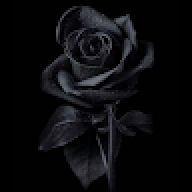 Gohar