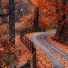 Peaceful_Spirit
