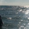 beachgoer43