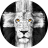 Solomon83