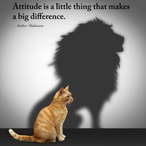Attitude (3).jpg