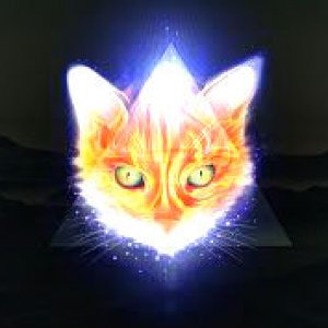 Triangle Cat.jpg