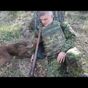 This Young Deer Came To A Soldier.. What Happened Next Is Just Unbelievable