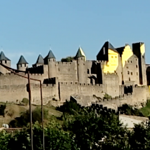 Carcassonne castle video