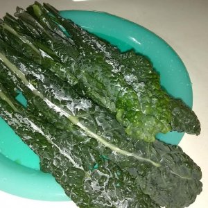 Fresh Kale it's beautiful!.jpg