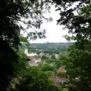 Winchester cathedral as seen from St.  Catherine's hill